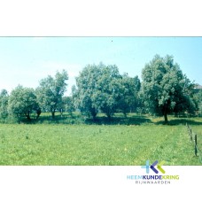 Omgeving `Hof Zum Walde`Spijk F00002204
